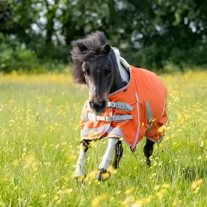 A black pony wearing a swish mini 50g turnout rug in bright orange with reflective strips and cross surcingles