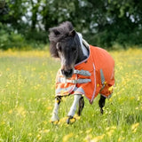 A black pony wearing a swish mini 50g turnout rug in bright orange with reflective strips and cross surcingles