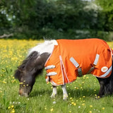 Orange swish mini 50g turnout horse blanket with reflective strips cross surcingles and side logo visible