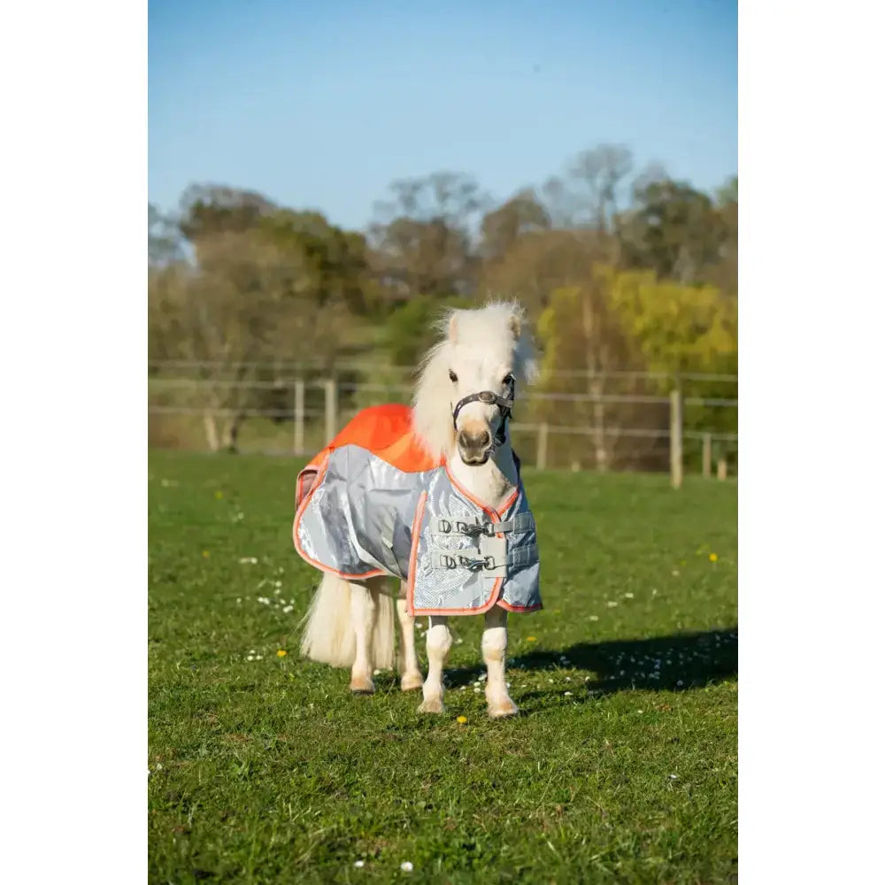 A white pony wearing a swish mini fly turnout combination rug in orange and grey with black buckles