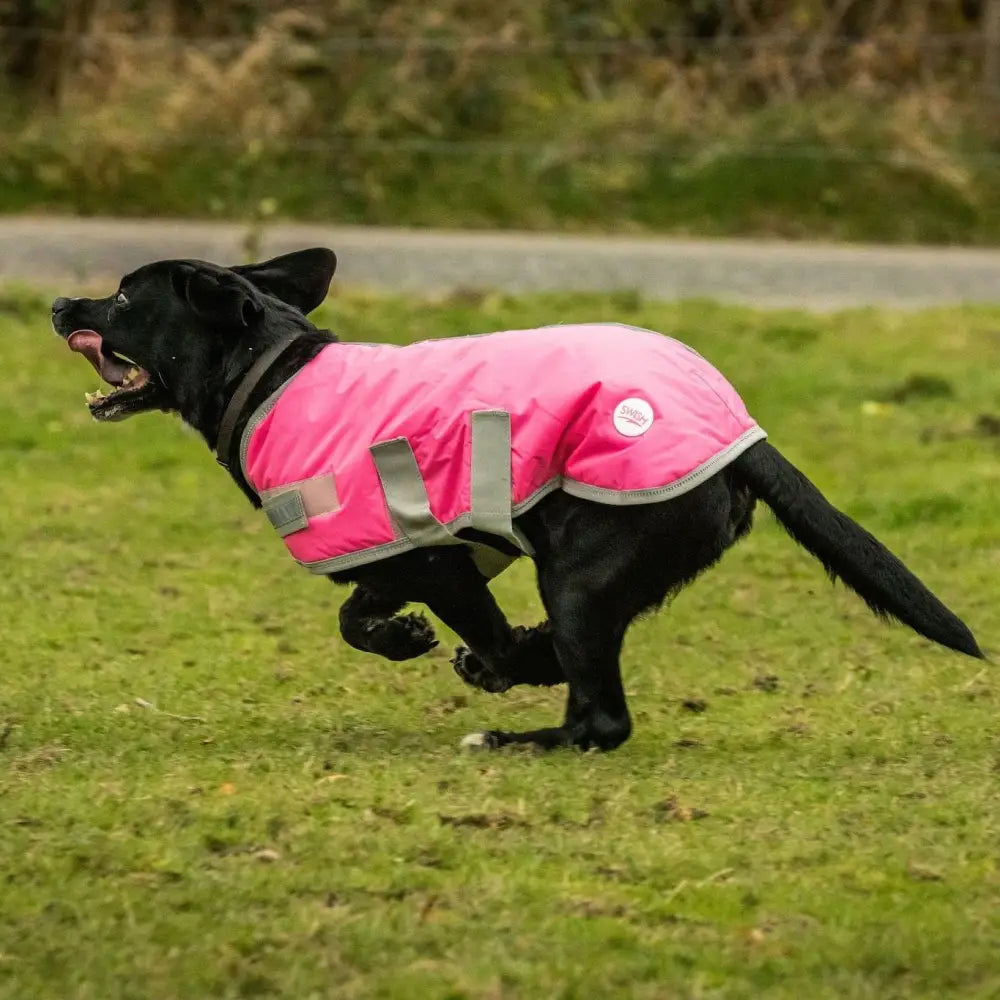 Swish waterproof dog coat in high viz pink with reflective strips and velcro chest designed for outdoor use