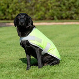 A black labrador wearing a swish waterproof dog coat high viz yellow with reflective strips and velcro chest closure