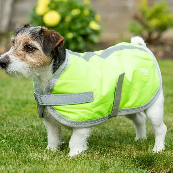 Bright lime green waterproof dog coat with reflective strips and velcro chest straps for high visibility
