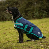 Navy swish waterproof dog coat with teal reflective straps and velcro chest for extra visibility and comfort