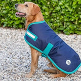 Navy swish waterproof dog coat with teal reflective straps and velcro chest for extra visibility on rainy walks