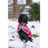 A black dog wearing a red waterproof dog coat with silver reflective stripes and a velcro chest closure