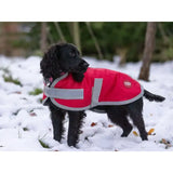 A black dog wearing a sheen swish waterproof dog coat red with reflective trim and velcro chest closure