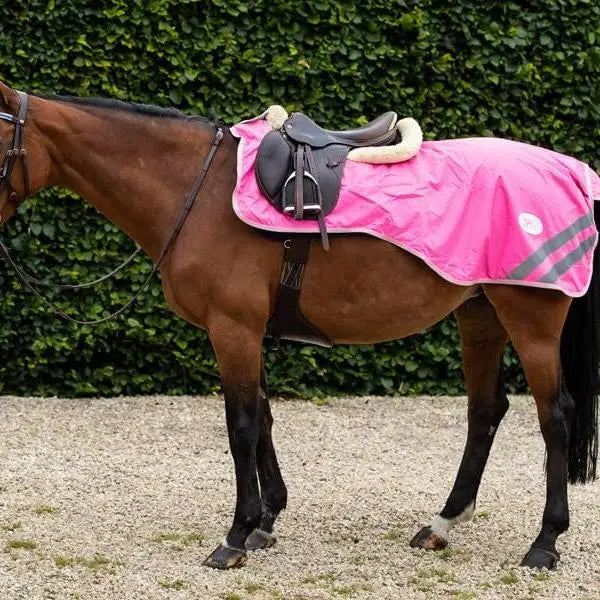 Bright pink swish waterproof exercise sheet with reflective strips and luxury fleece lining on brown horse with saddle