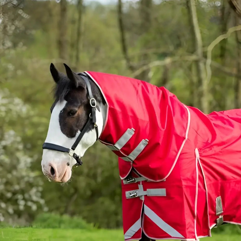A vibrant red swish wide fit 50g detachable neck turnout rug with reflective stripes and tail flap for horses