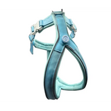 The 2.5cm BTactical™ Slip on Harness | Pastel Blue Xsmall Dog Collar