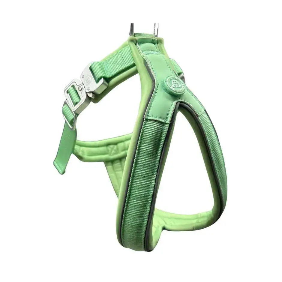 The 2.5cm BTactical™ Slip on Harness | Pastel Green XSmall Dog Collar