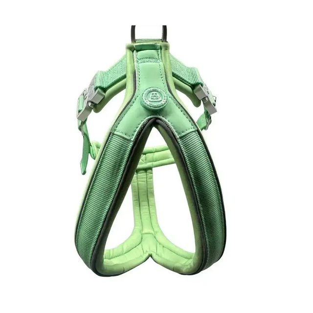 The 2.5cm BTactical™ Slip on Harness | Pastel Green XSmall Dog Collar