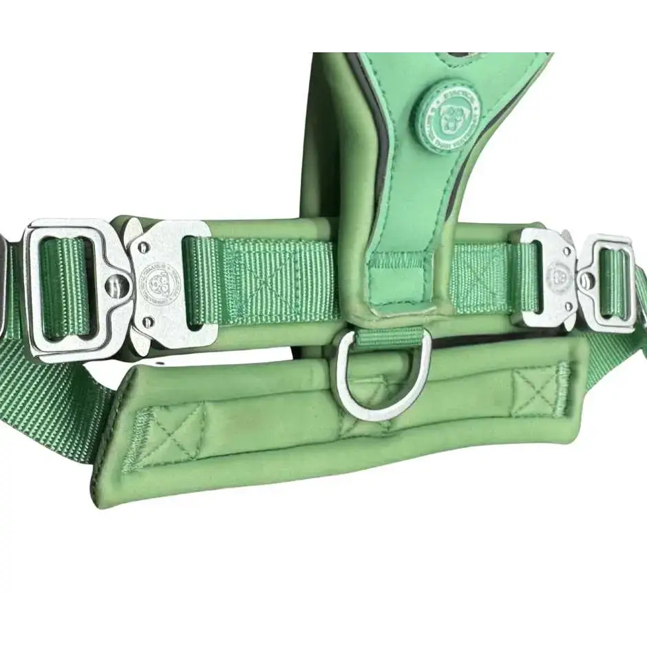The 2.5cm BTactical™ Slip on Harness | Pastel Green XSmall Dog Collar