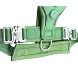 The 2.5cm BTactical™ Slip on Harness | Pastel Green XSmall Dog Collar