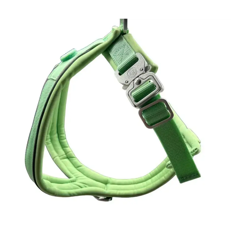 The 2.5cm BTactical™ Slip on Harness | Pastel Green XSmall Dog Collar