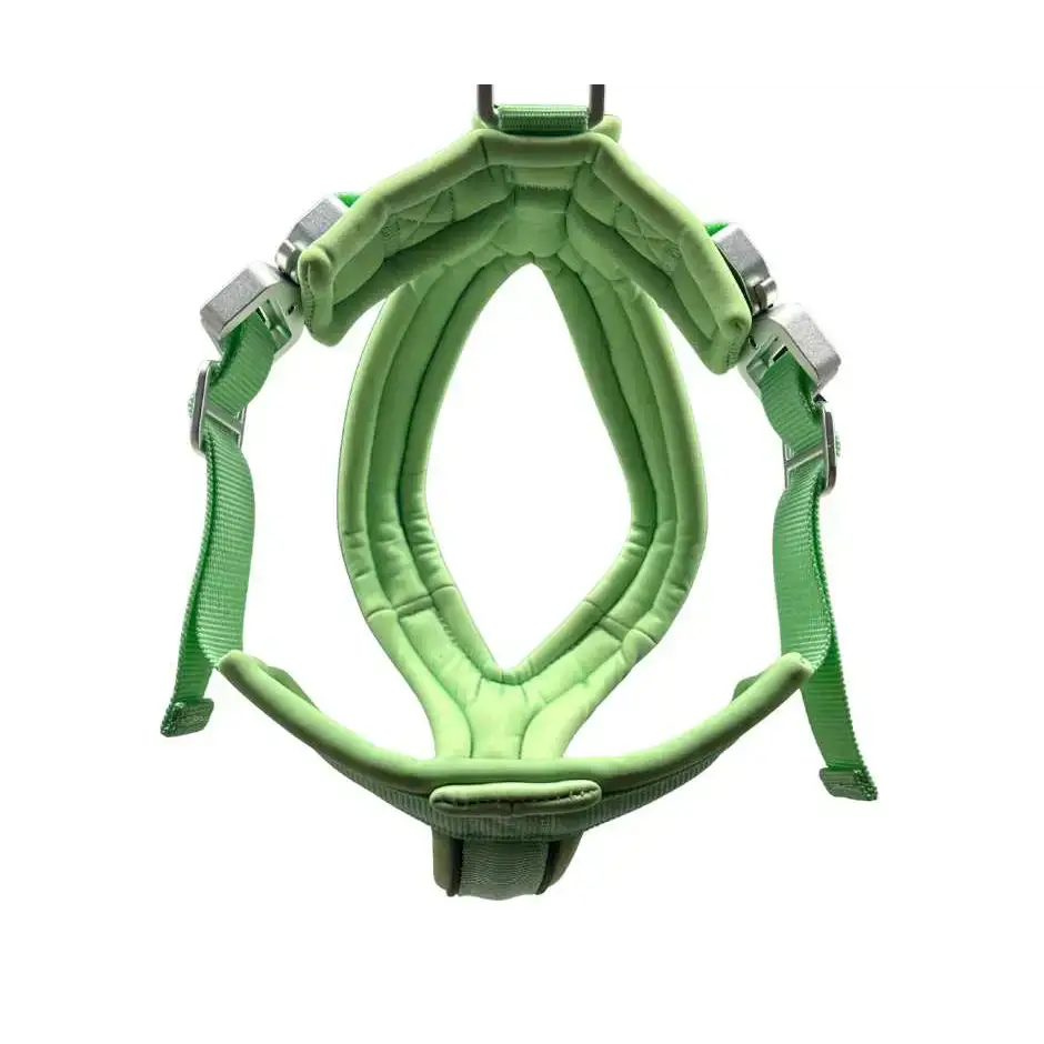 The 2.5cm BTactical™ Slip on Harness | Pastel Green XSmall Dog Collar