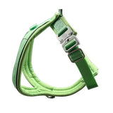 Light green padded 2.5cm btactical slip-on harness with silver buckles and adjustable straps in pastel green