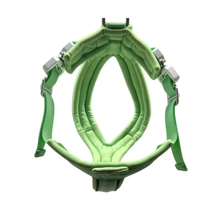 Pastel green 2.5cm btactical slip-on harness with padded straps and silver metal buckles for easy adjustment