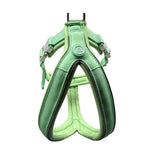 A pastel green 2.5cm btactical slip-on harness with padded straps and silver-toned metal buckles for dogs