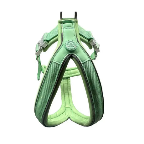A pastel green 2.5cm btactical slip-on harness with padded straps and silver-toned metal buckles for dogs