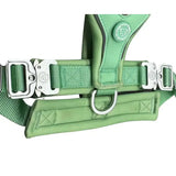 Pastel green 2.5cm b tactical slip-on dog harness with padded design and silver-toned metal buckles and d-ring attachment