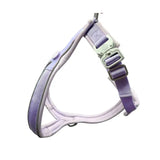 Pastel purple 2.5cm btactical slip on harness with adjustable straps and metal buckles slip-on design makes it easy