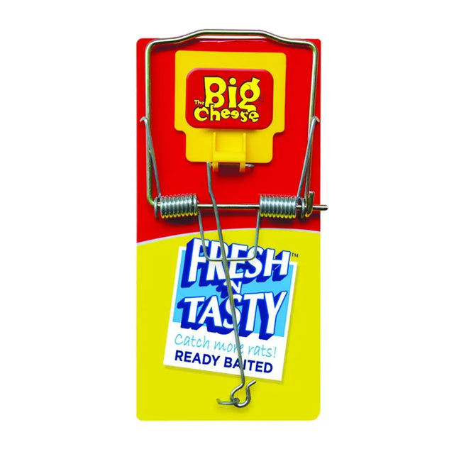 Red and yellow big cheese fresh baited rat trap with a ready to use tasty baited rat snap trap design