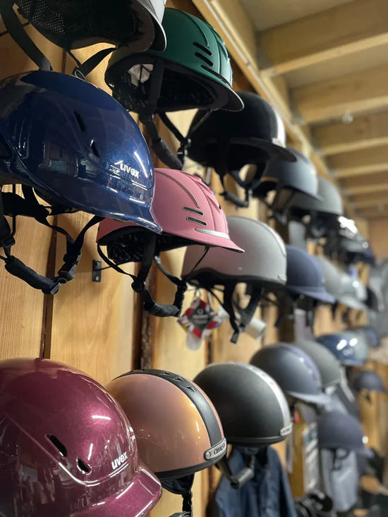 Horse Riding Standards 2025 and What They Mean