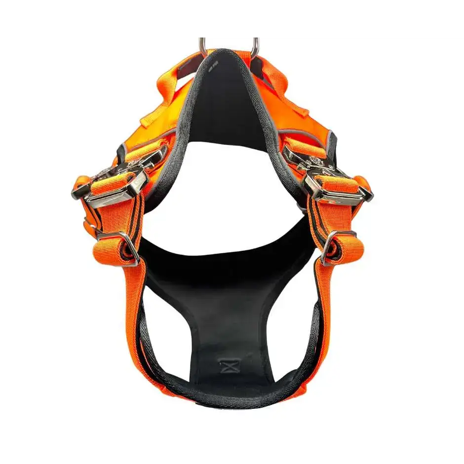 The No Pull Ultimate BTactical™ Harness | Citrus Orange Small Dog Collar