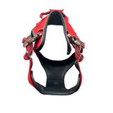 The No Pull Ultimate BTactical™ Harness | Citrus Red Small Dog Collar