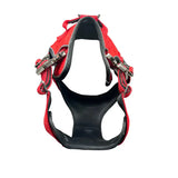 Red and black ultimate btactical harness in citrus red with silver metal buckles and hidden tracker pocket