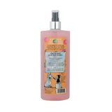 Thelwell Grooming Academy A Good All Rounder Tack Cleaner by Hy Equestrian Tack Care