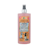 Thelwell Grooming Academy A Good All Rounder Tack Cleaner by Hy Equestrian Tack Care