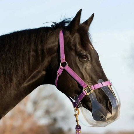 ThinLine Flexible Filly Grazing Muzzle Small 19" (Mini To Pony) ThinLine Grazing Muzzle Barnstaple Equestrian Supplies
