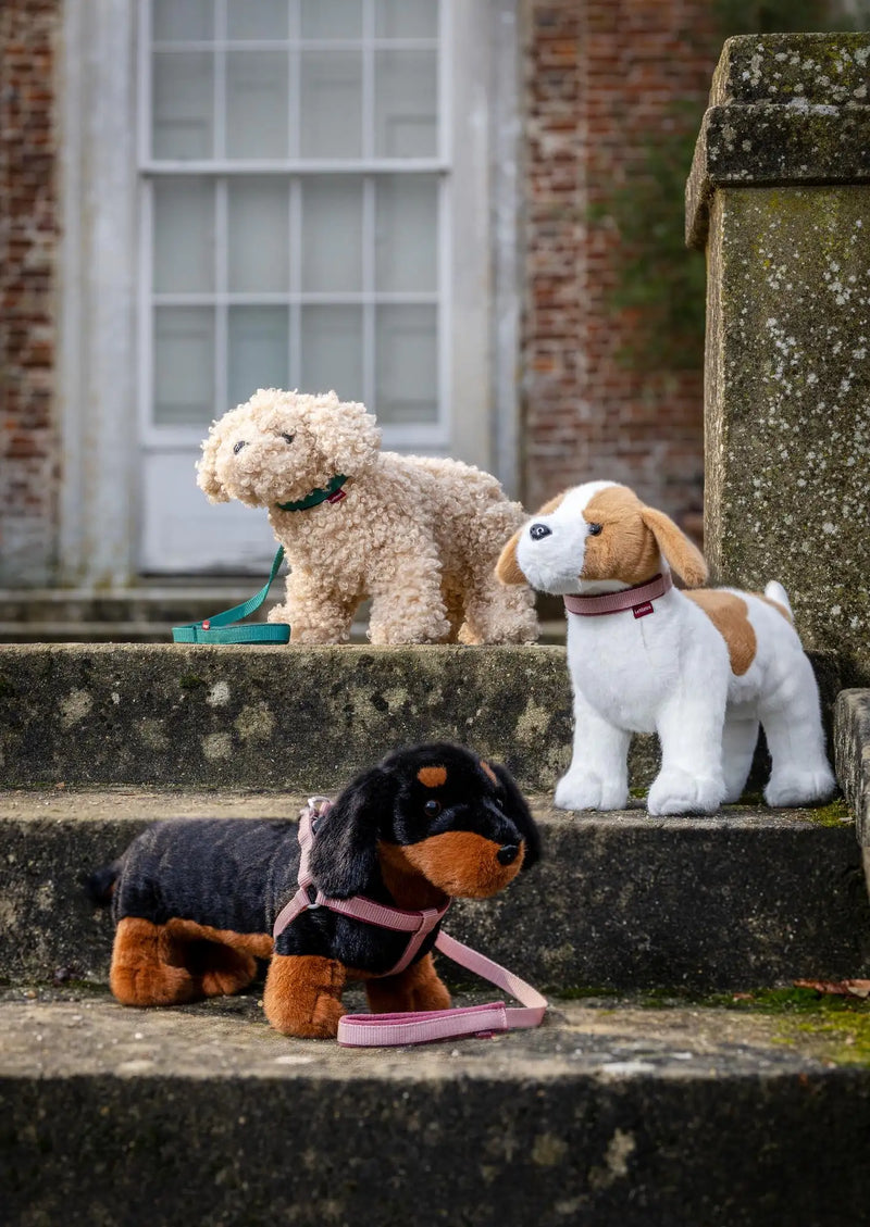 Three plush stuffed dogs, each with distinct fur colors and patterns , one beige with curly texture, another white and tan with floppy ears, and a black-and-brown dachshund-style dog , are positioned on stone steps.