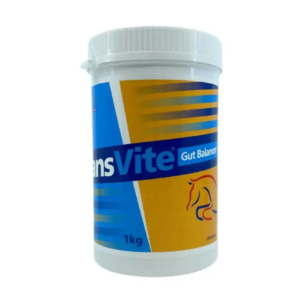 White plastic container of transvite gut balancer combined probiotic prebiotic powder for horse digestive gut balancers