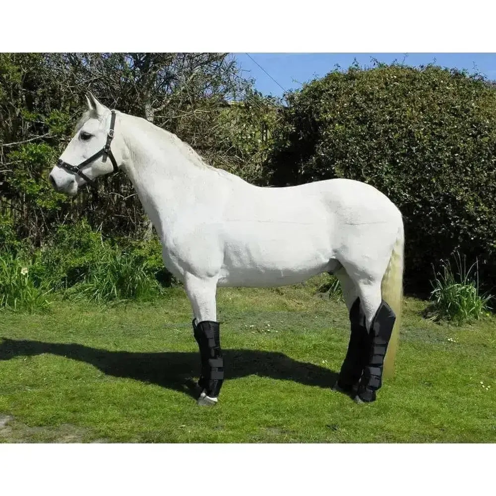 A sleek white horse wearing black rhinegold travel boots with waterproof nylon outer for protection in grassy field