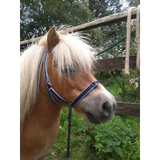Treby Headcollar Blue Mini 