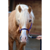 Treby Headcollar Blue Mini 