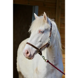 Treby Headcollar Blue Mini 
