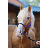 Treby Headcollar Blue Mini 