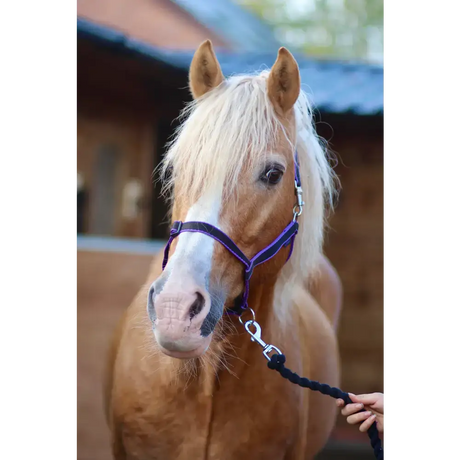 Treby Headcollar Blue Mini 