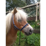A light brown pony wearing a treby headcollar with sliding nose and trigger clips in navy blue halter style