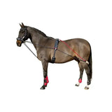 Black and red horse harness with adjustable straps and protective leg wraps from tsr john whitaker training system helps develop neck
