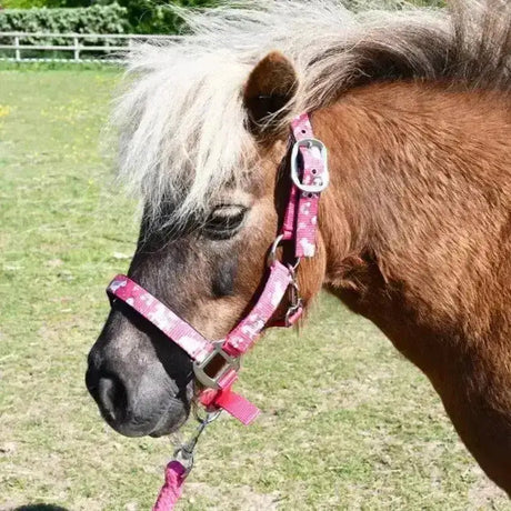 Pink patterned horse halter with silver buckles from the cute unicorn headcollar matching leadrope set