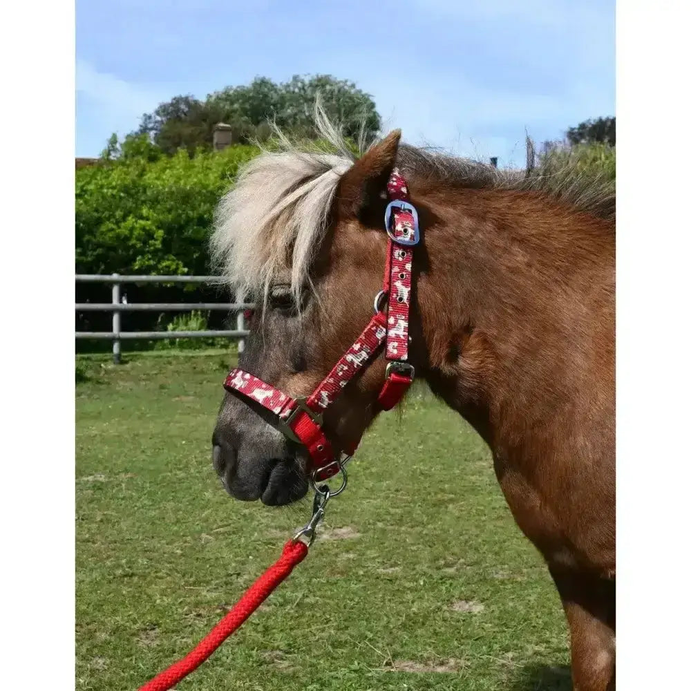 Red patterned horse halter with blue buckle from the cute unicorn headcollar matching leadrope set