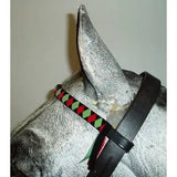 A black leather velvet browbands horse bridle with a colorful red green and black braided strap for red cob and navy white cob