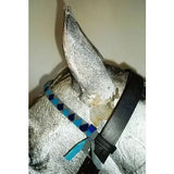 A blue and black diamond-patterned braided horse halter with black leather strap ideal for velvet browbands navy white cob