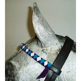 Velvet Browbands Full (40cm) WHITE/BLUE/PURPLE 