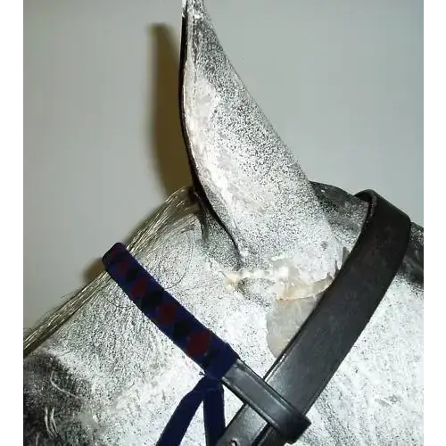 Velvet Browbands Pony (36cm) BLACK/NAVY/BURGANDY 